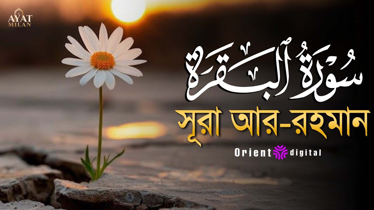সূরা আল বাকারা এর অত্যন্ত দরদী কন্ঠে তিলাওয়াত┇Surah Al Baqarah Recited by Ahmed Kaseb