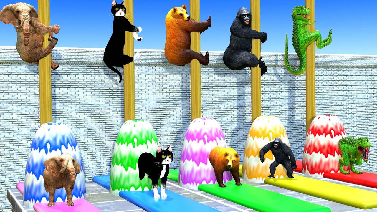 Long Slide Game with Cow Elephant Gorilla Hippopotamus Tiger 3d Animal Game Funny 3d Animals