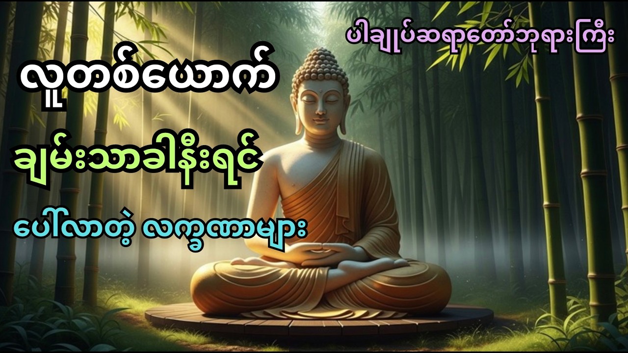 လူတစ်ယောက်ချမ်းသာခါနီးရင် ပေါ်လာတဲ့ လက္ခဏာများ|ပါချုပ်ဆရာတော်ဘုရားကြီး #dhamma #buddha