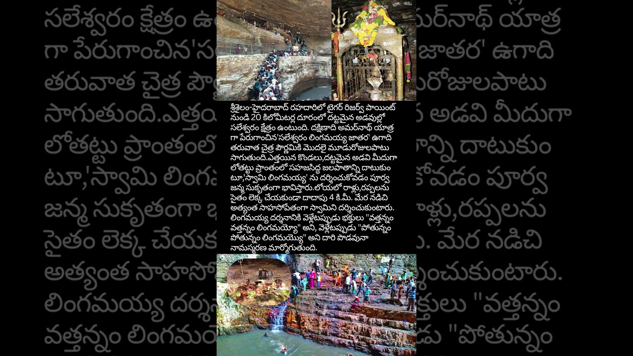 😱Unbelivable Hidden Temple 🙏in  Deep forest🔱 #shiv