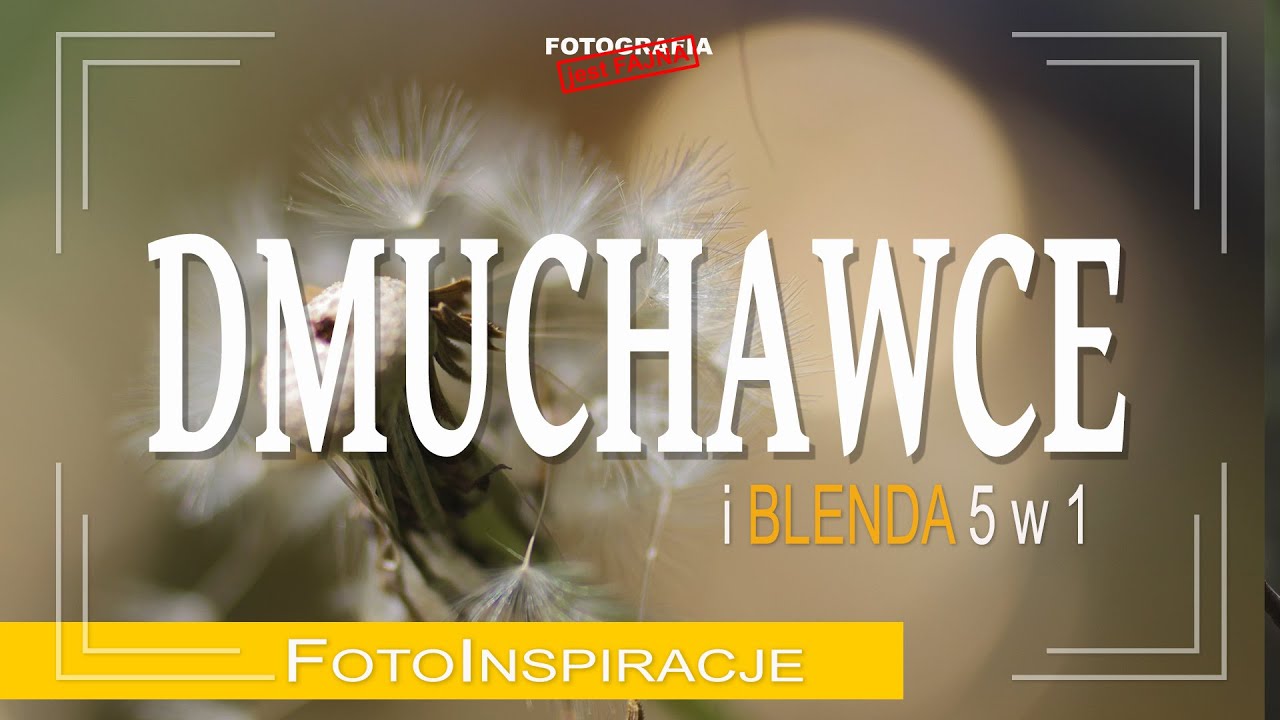 🚩 Dmuchawce i blenda 5 in 1 - Fotografia jest Fajna