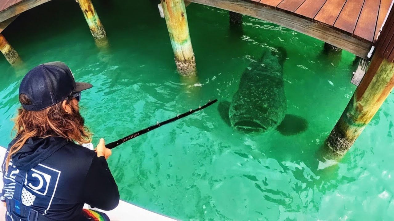 Será que esse peixe gigante do píer é impossível de pescar?