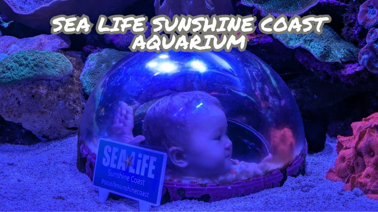 QUEENSLAND TRIP 2023 #4: SEA LIFE SUNSHINE COAST AQUARIUM