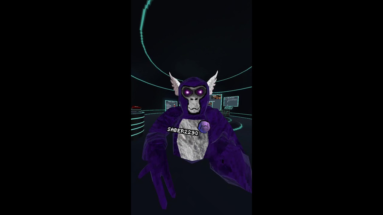 Meta Quest Broadcast | Powered by LIV