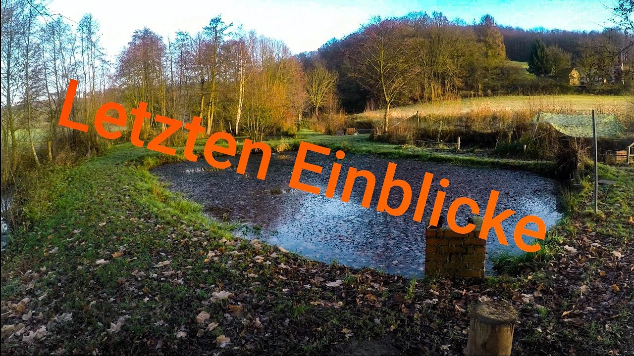 Fischteiche Vlog #2 Ein paar letzte Einblicke und Forellen füttern