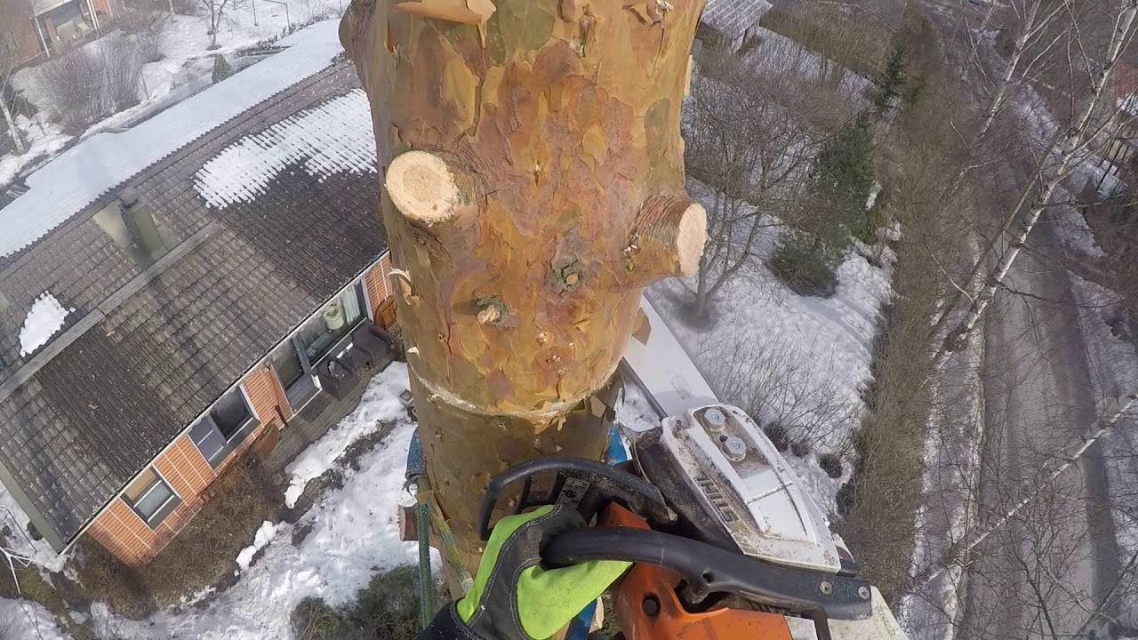 Pihapuun kiipeilykaato (mets&auml;mies.fi)