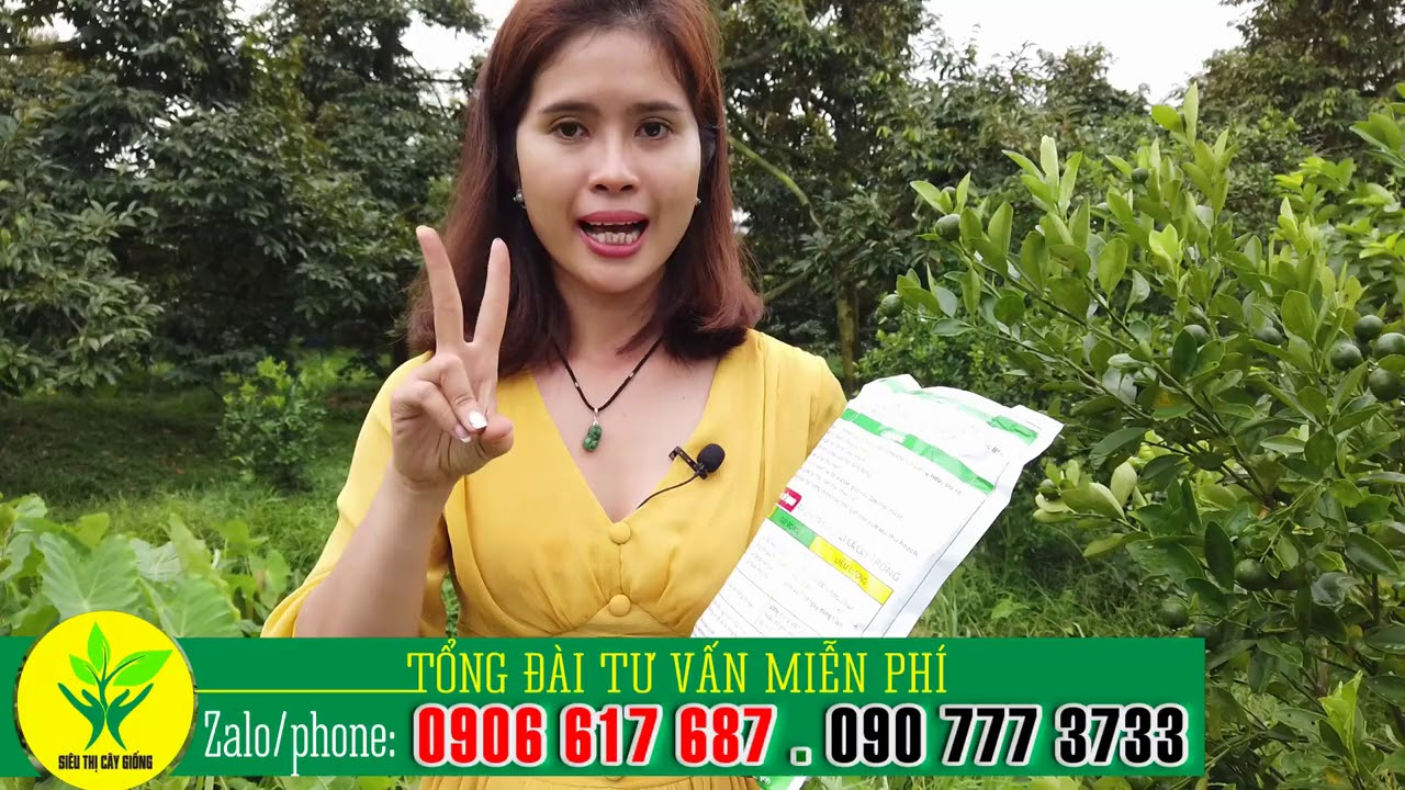 Cách sử dụng Phân bón hữu cơ vi sinh TRICHO - HUMIC USA - SIÊU PHẨM TỪ HOA KỲ