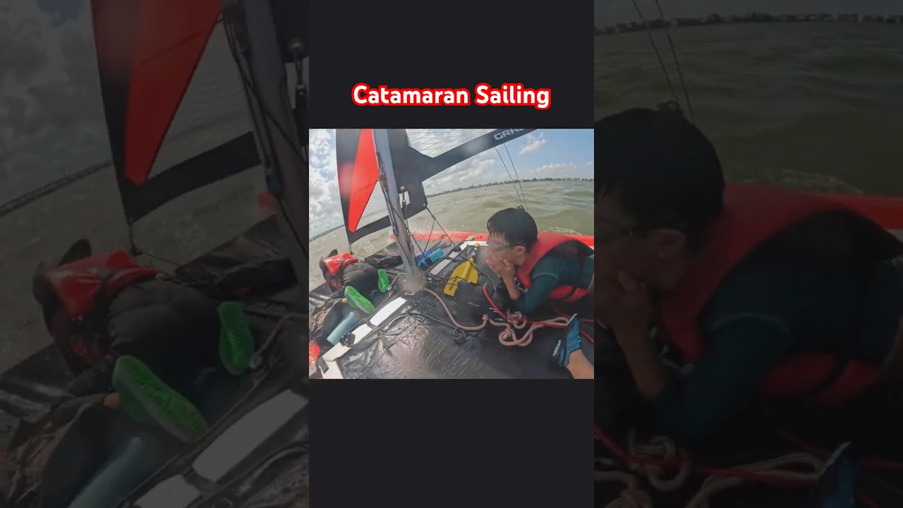 Happy Cat Evolution Sailing 2025