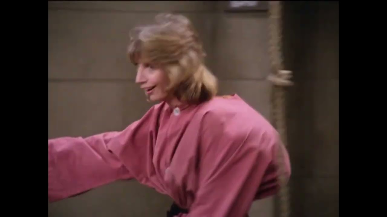 LAVERNE & SHIRLEY - 