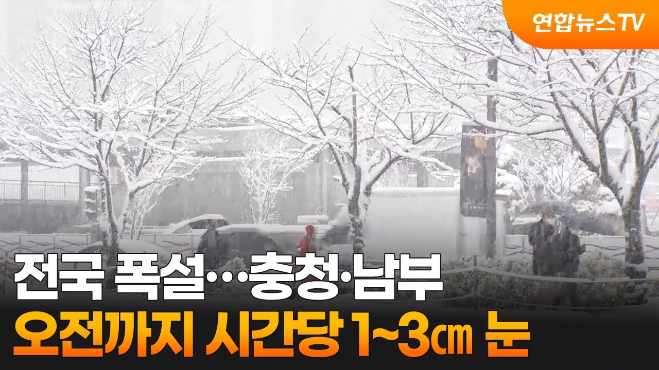 전국 폭설…남부 오전까지 시간당 1~3㎝ 눈 / 연합뉴스TV (YonhapnewsTV)