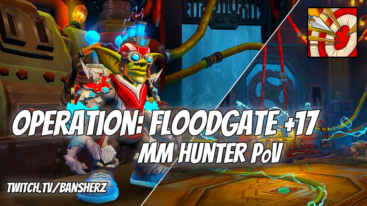 +17 Operation Floodgate MM Hunter PoV