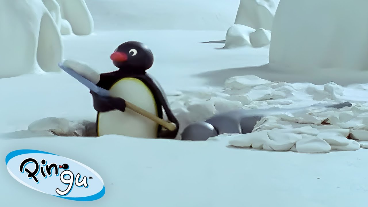 Pingu Digs a Hole 🐧 | Pingu - Official Channel | Cartoons For Kids