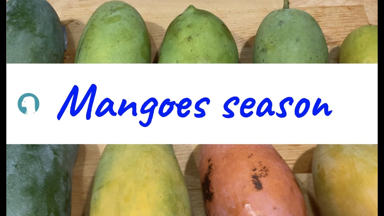 When is mango season in Thailand and variety of mangoes