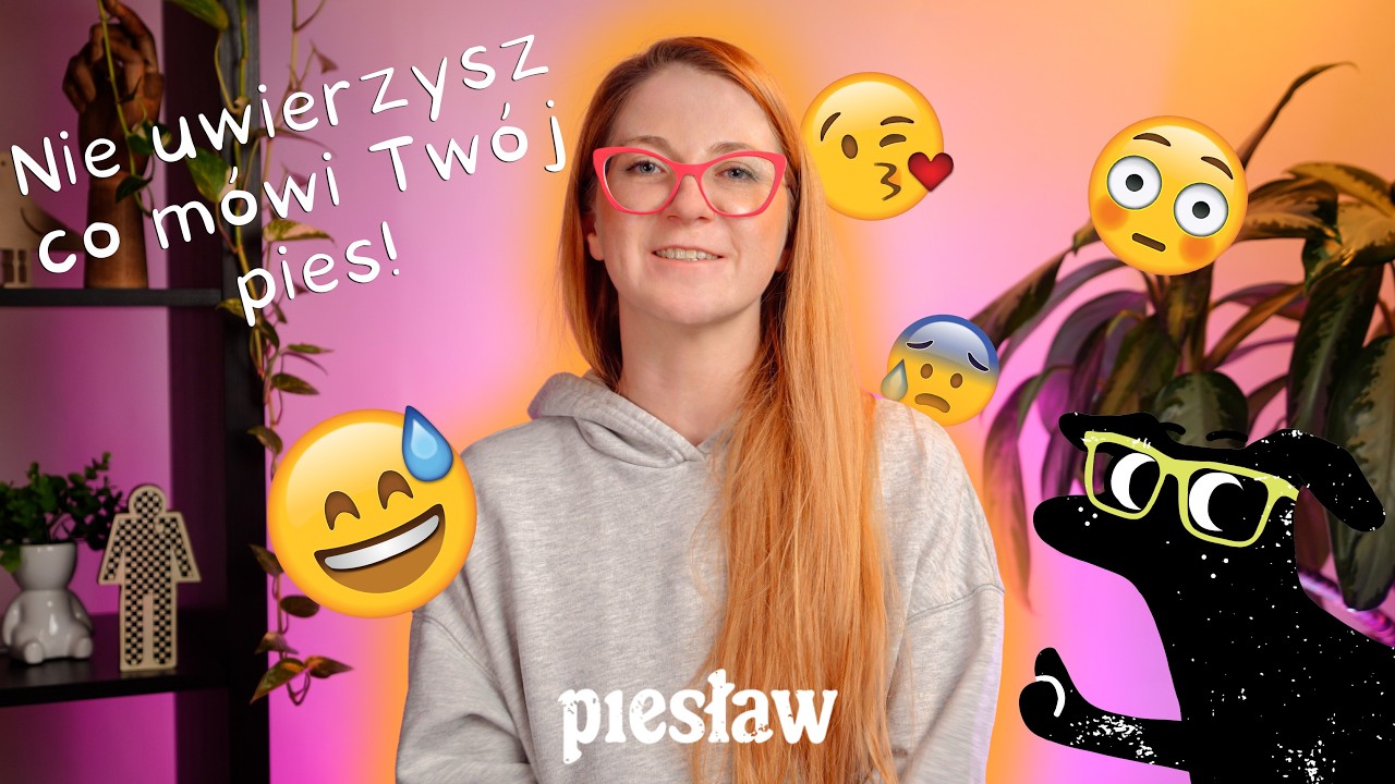 Psia komunikacja cz. 2 - Co próbuje powiedzieć Ci Twój pies? 🗣🐶