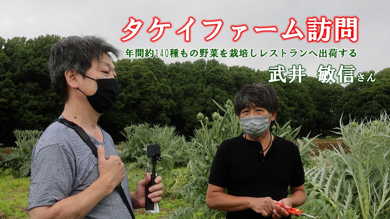 タケイファームのアーティチョーク栽培を見学
