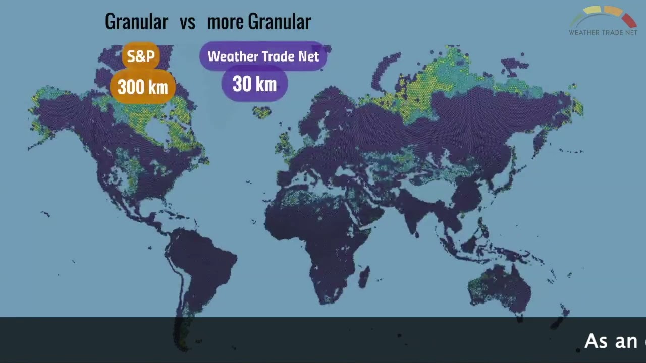 What does &ldquo;granular&rdquo; stand for?  Video tutorial