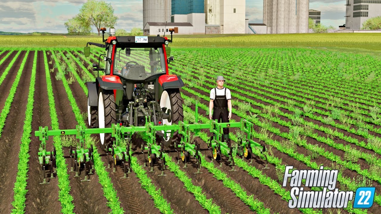 Pielenie Pasternaku w Farming Simulator 22
