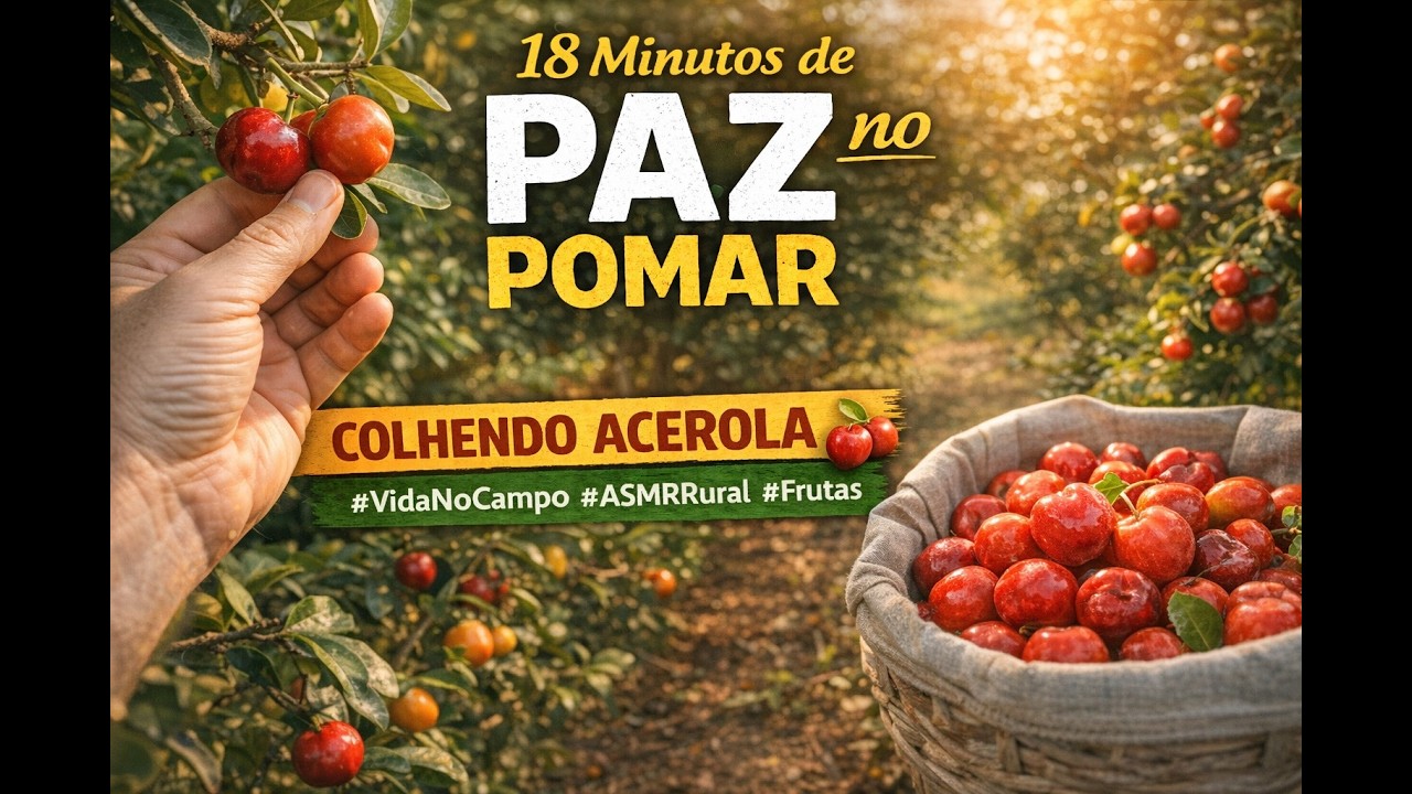 18 minutos sons de pássaros e 