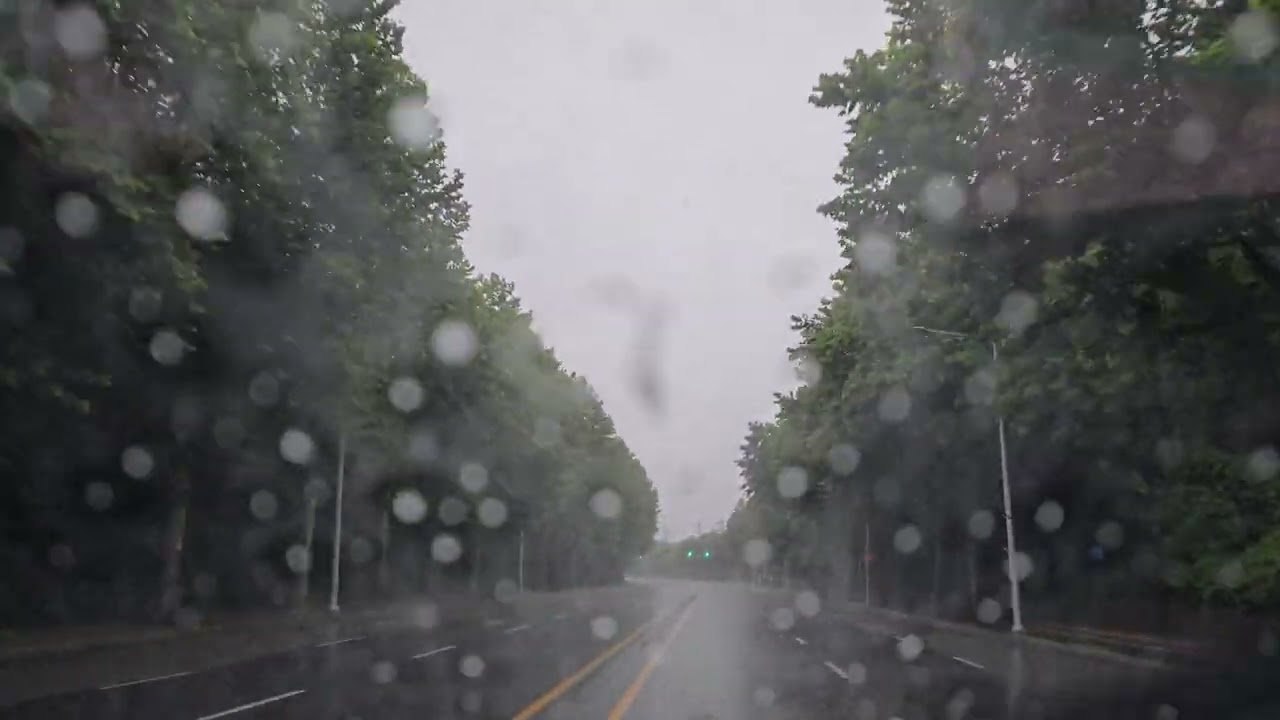 그대떠나는날 비가오는가saxo cover by이두호/(원곡)  잔나비