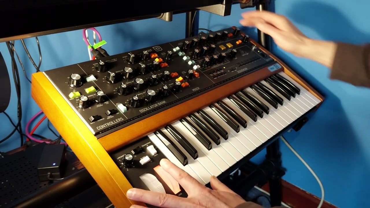 Behringer PolyD Arpeggio mode | DeadMau5 style Arpeggios | Erica Synths Zen Delay | TeknoBaby |