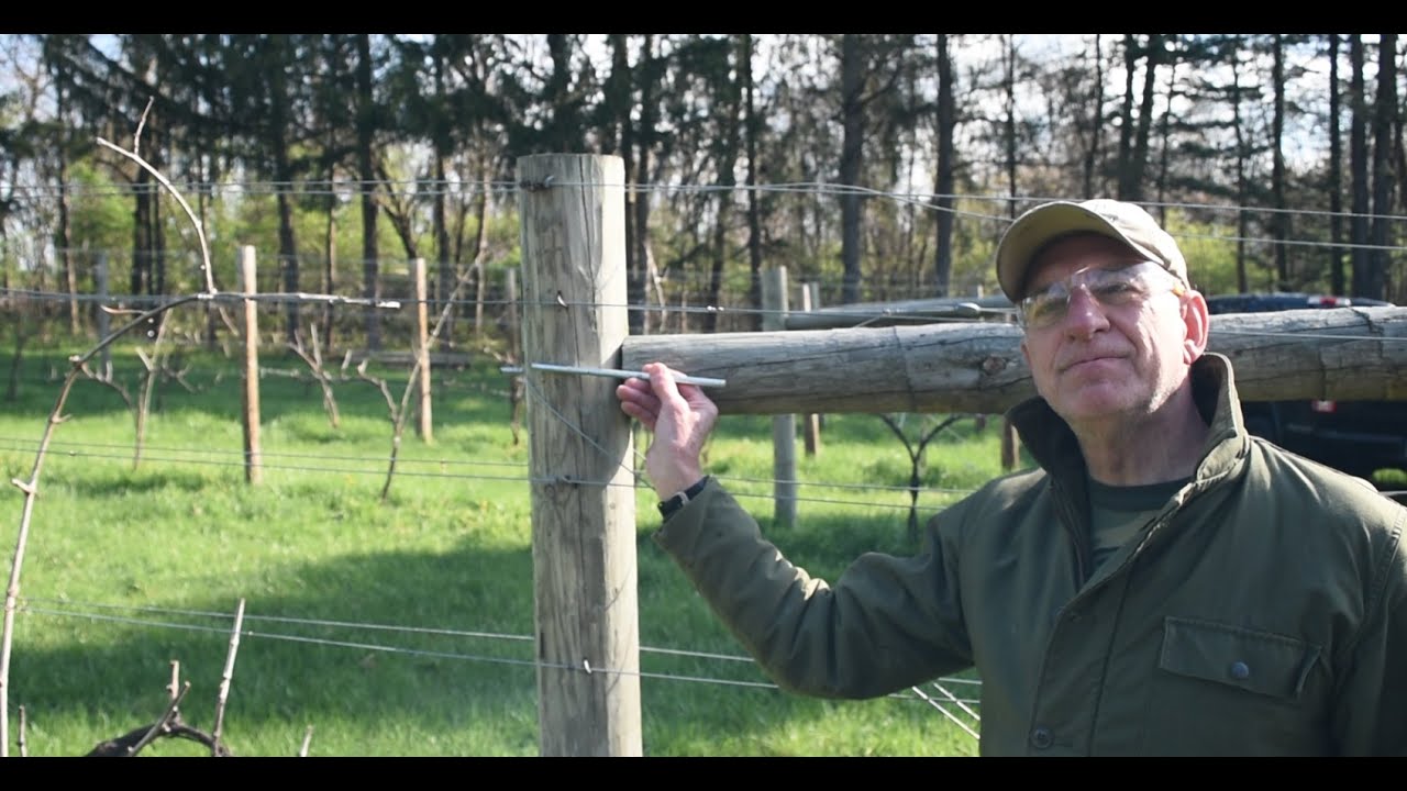 Viticulture - #3 Trellis Brace & Trellis Wire construction - A Season in the Vineyard