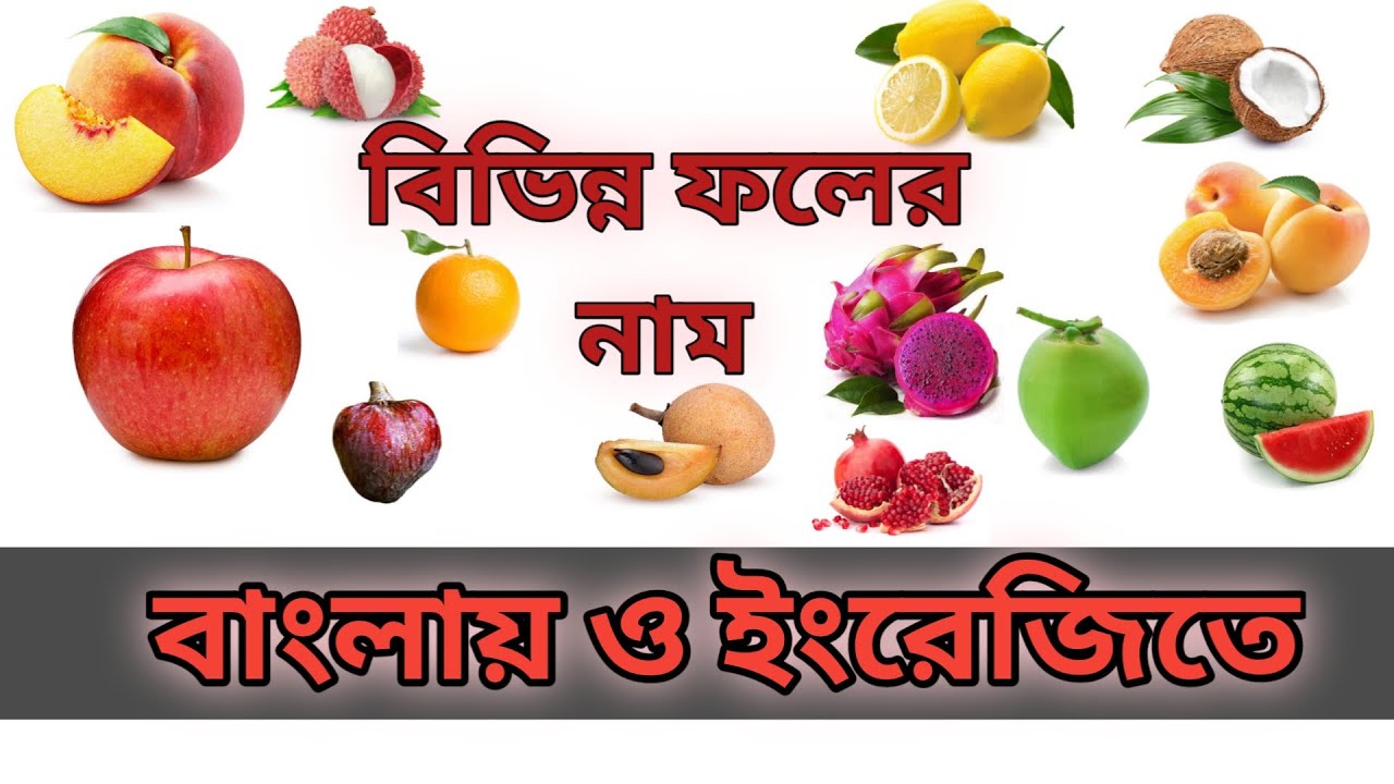 Fruits Name with Pictures in Bengali & English | Foler Nam Bangla o English e
