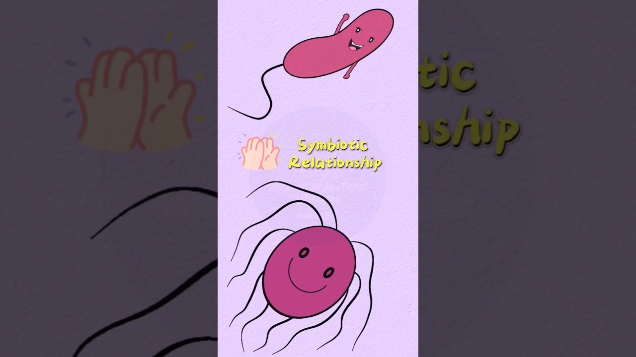Microbial Syntrophy: A Partnership #microbiology101 #crossfeeding #easymicrobiology