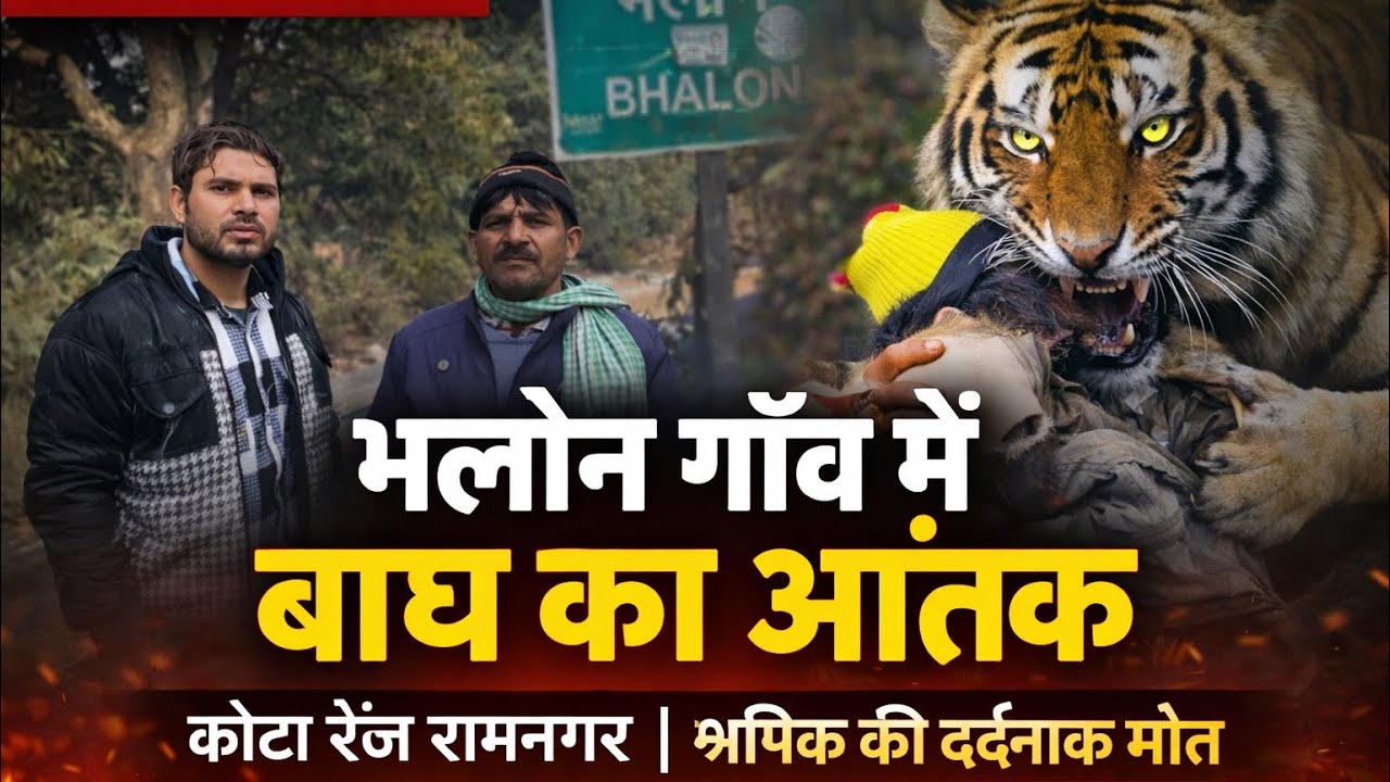 भलोन गाँव में बाघ का आतंक | कोटा रेंज रामनगर में श्रमिक पर खौफनाक हमला, मौके पर दर्दनाक मौत