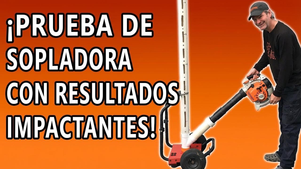¿Cuál es el mejor soplador de hojas que puedes comprar hoy?