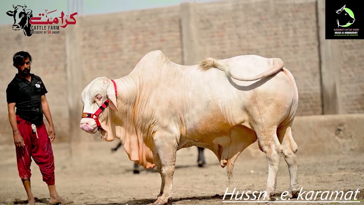 hasbi rabbi Husn e karamat