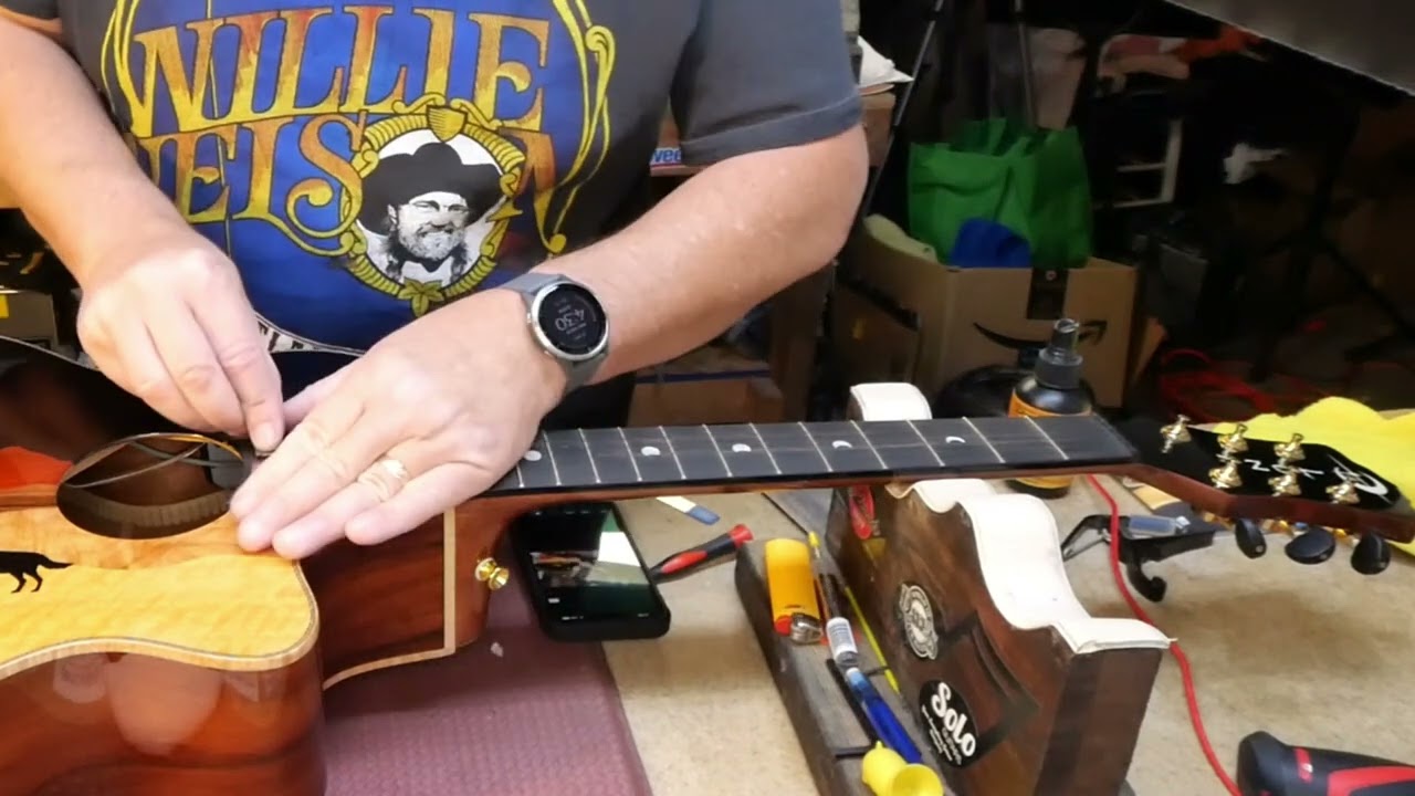 Luna Vista Wolf Acoustic Setup EP357