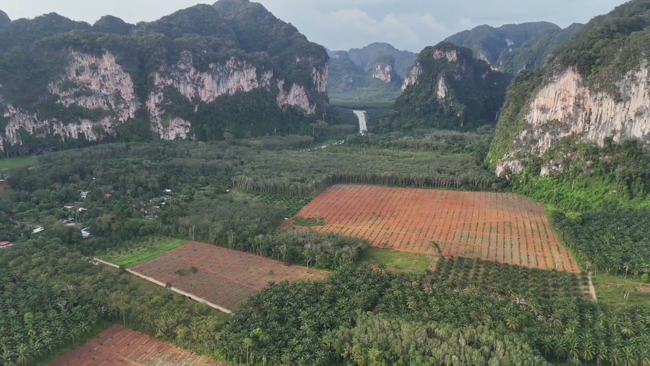 Subdivided Land Plots for Sale with Mountain Views in Ban Na Mee – Affordable Prices