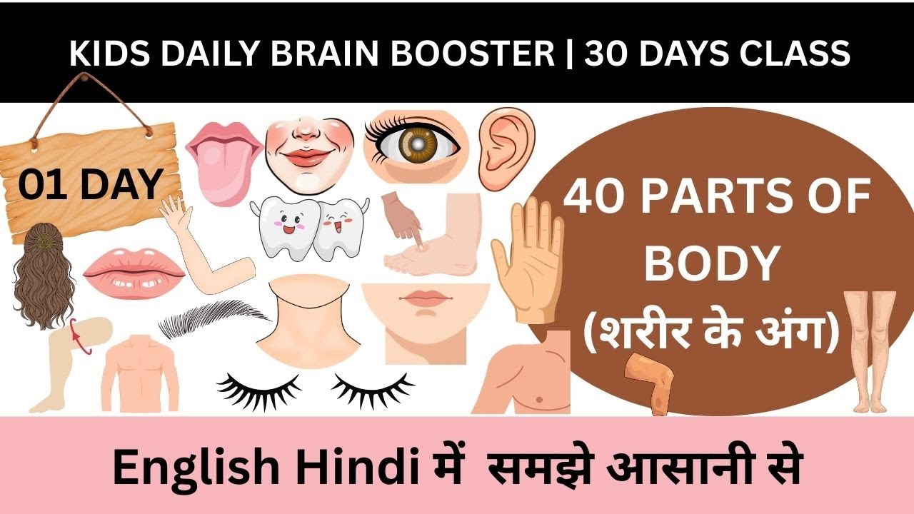 Kids Daily Brain Booster Day 1 | Parts of  Body in English with Hindi | 01 Day of 30 Days Challenge