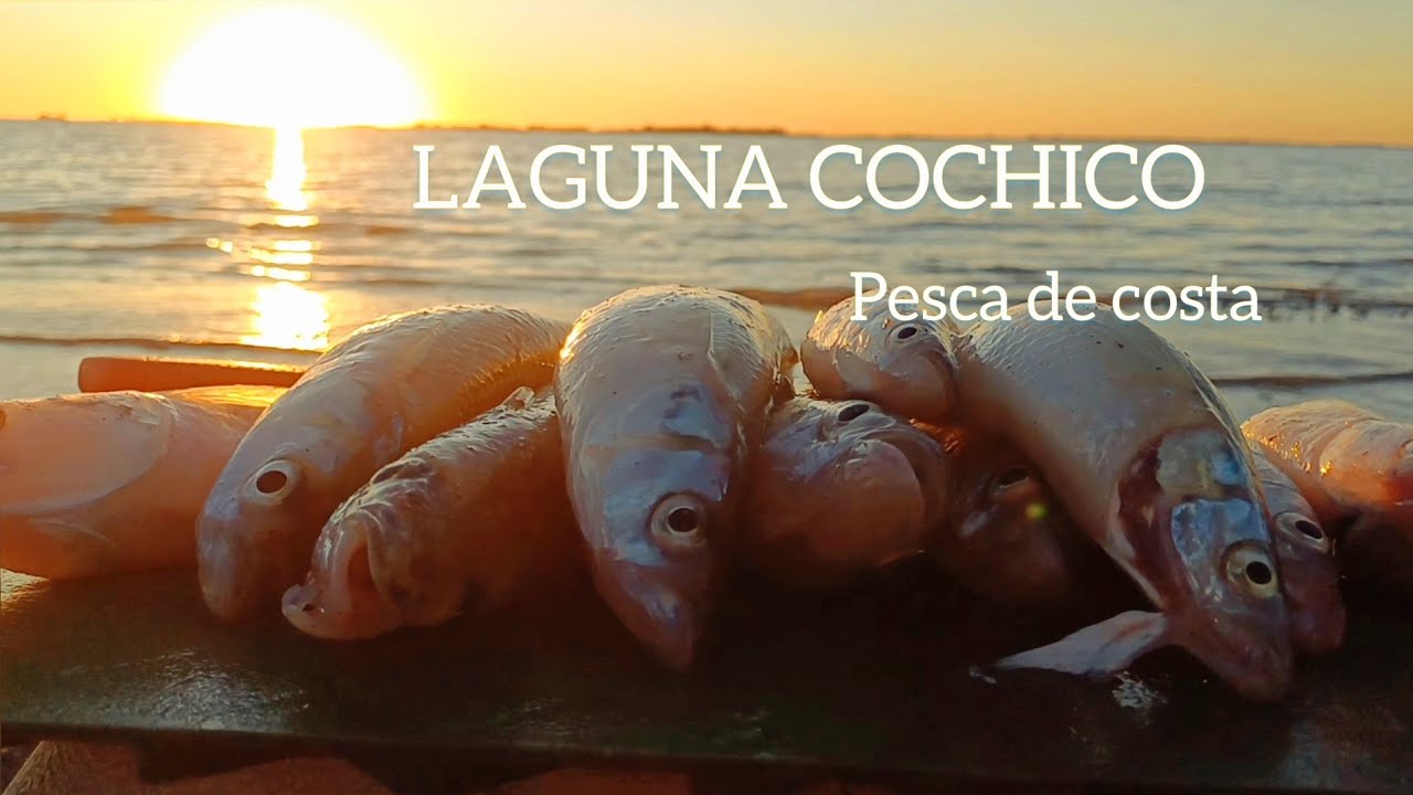 Laguna Cochicó 
