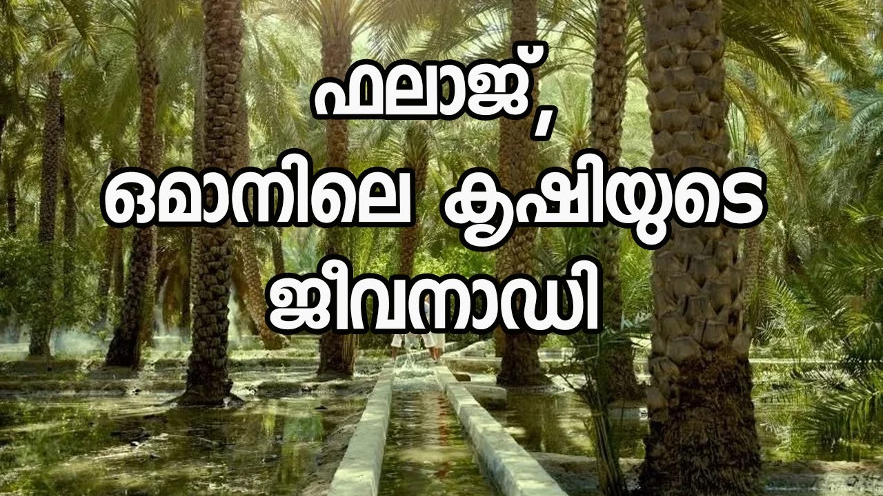 Falaj|Oman's unique irrigation system|   UNESCO|Sharqiya|Oman @JourneyistGlobal