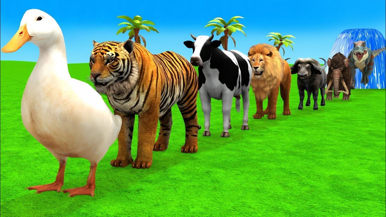 Long Slide Game With Elephant Gorilla Buffalo Hippopotamus Tiger - 3d Animal Game - Funny 3d Animals