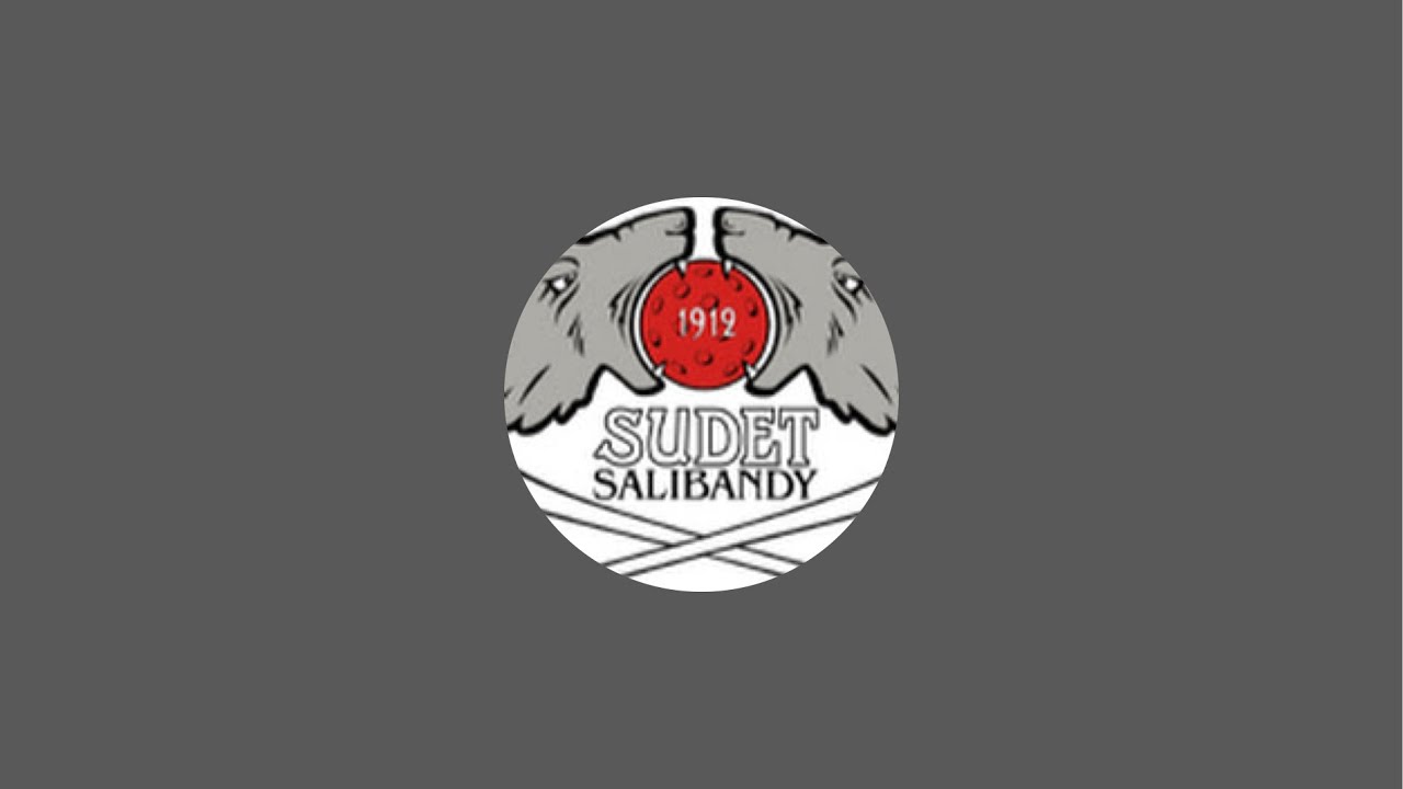 P19 ES+KS: Sudet SB - TU | Sudet Salibandy Kouvola