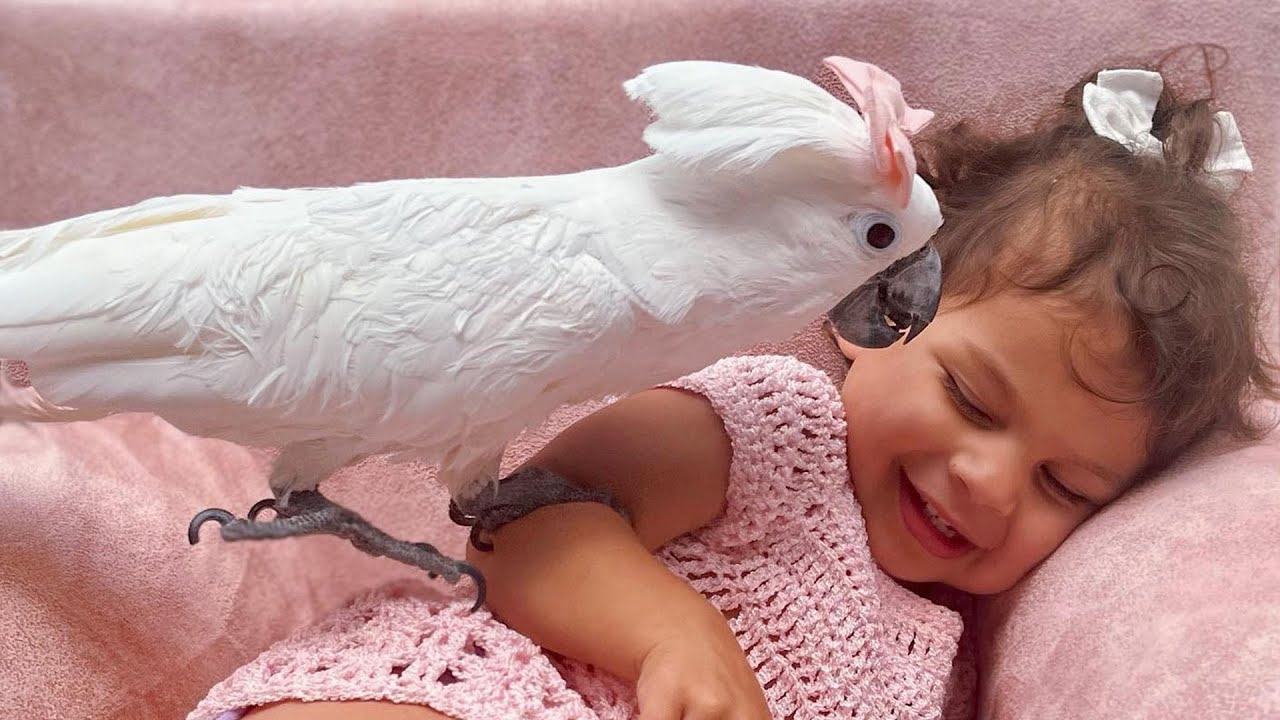 Playful Parrot Instantly Bonds With This Baby