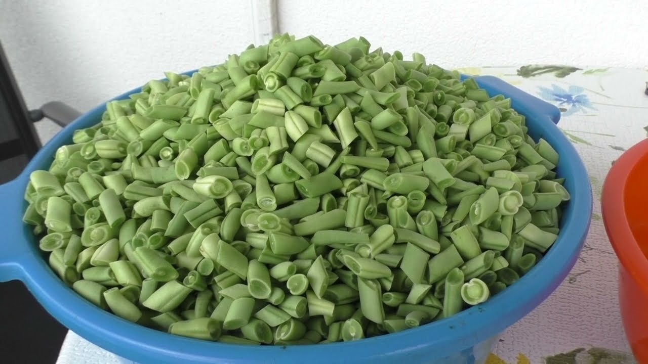 Buschbohnen, ernten, kochen, einfrieren