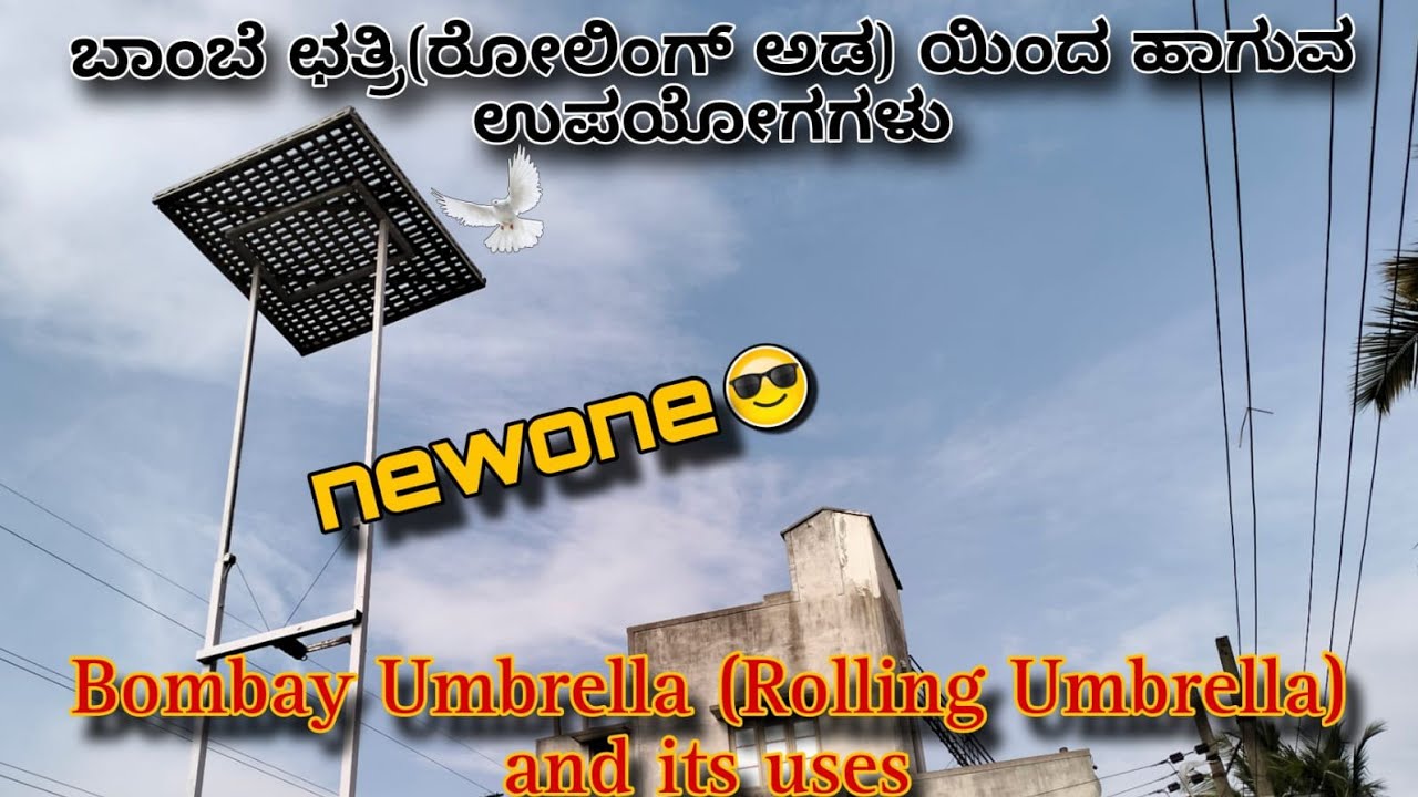 ಬಾಂಬೆ ಛತ್ರಿ(ರೋಲಿಂಗ್ ಅಡ) ಯಿಂದ ಹಾಗುವ ಉಪಯೋಗಗಳು || pigeon world 99 ||