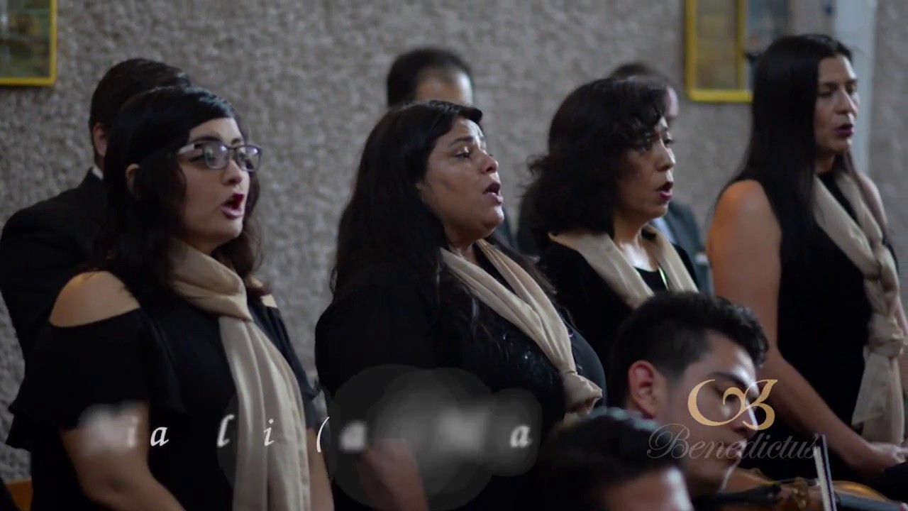 misa melódica (santo) (mejía) - benedictus CLÁSICO 22 artistas cover