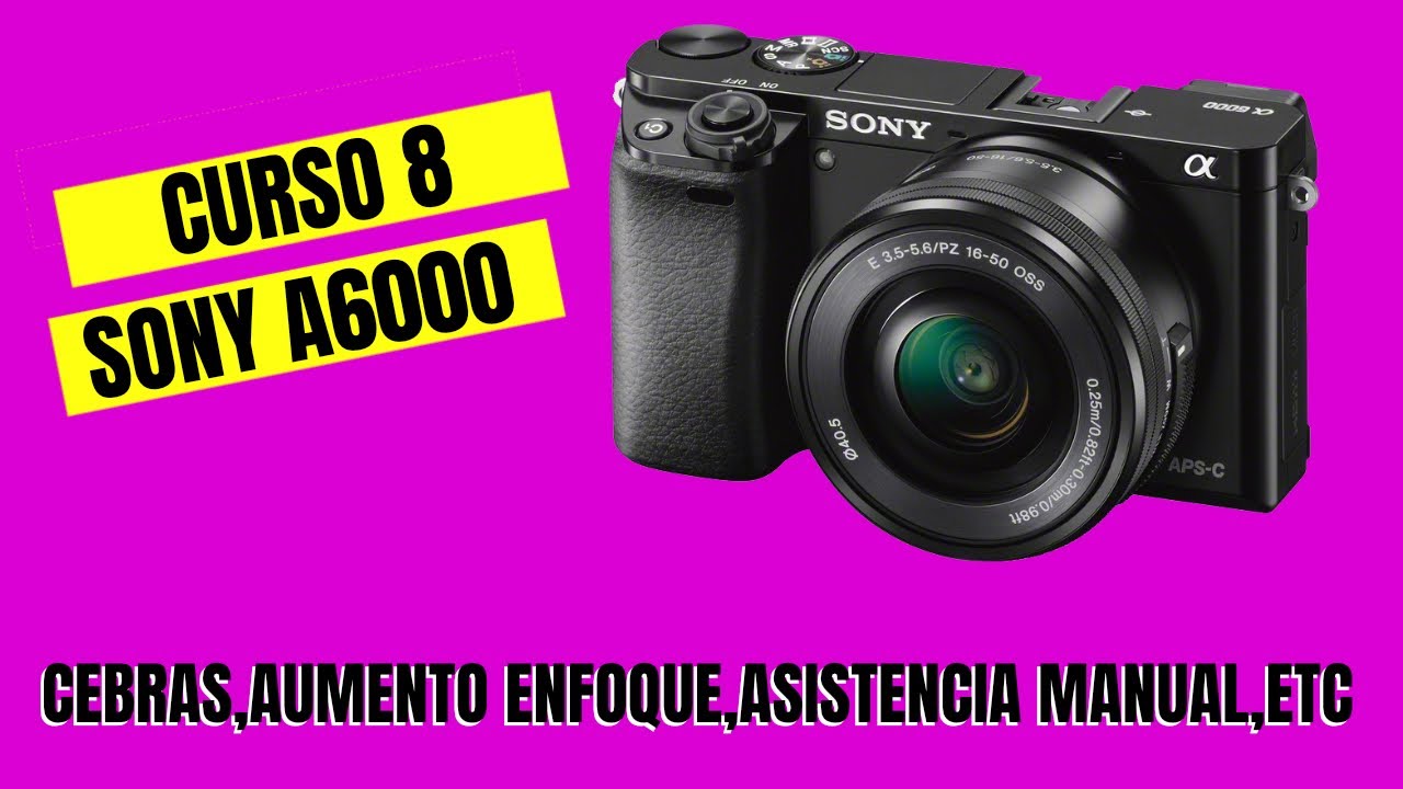 Tutorial Sony a6000 Video Settings Parte 8