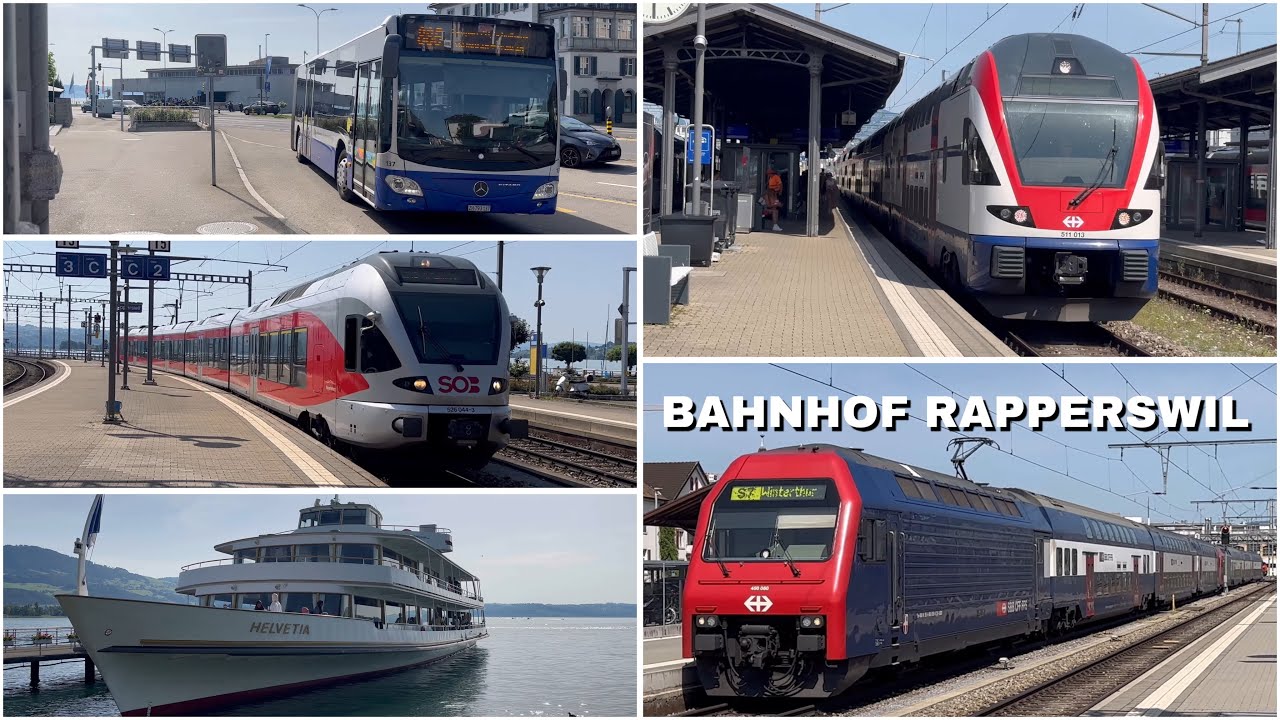 Züge beim Bahnhof Rapperswil | Trains at Rapperswil station (2024)