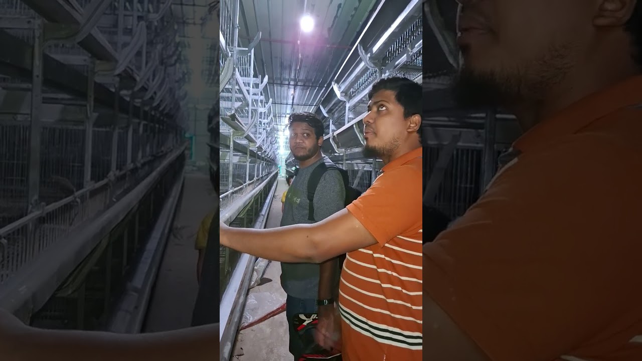 #খাচার ফার্ম, ১৫০০০ ব্রয়লার মুরগি, লম্বা ভিডিও, কিন্তু অনেক ইনফরমেশন পাবেন 