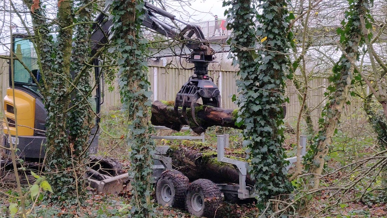 Forest Operations, Midgery Wood | Lancashire, UK | Walking Tour in 4K