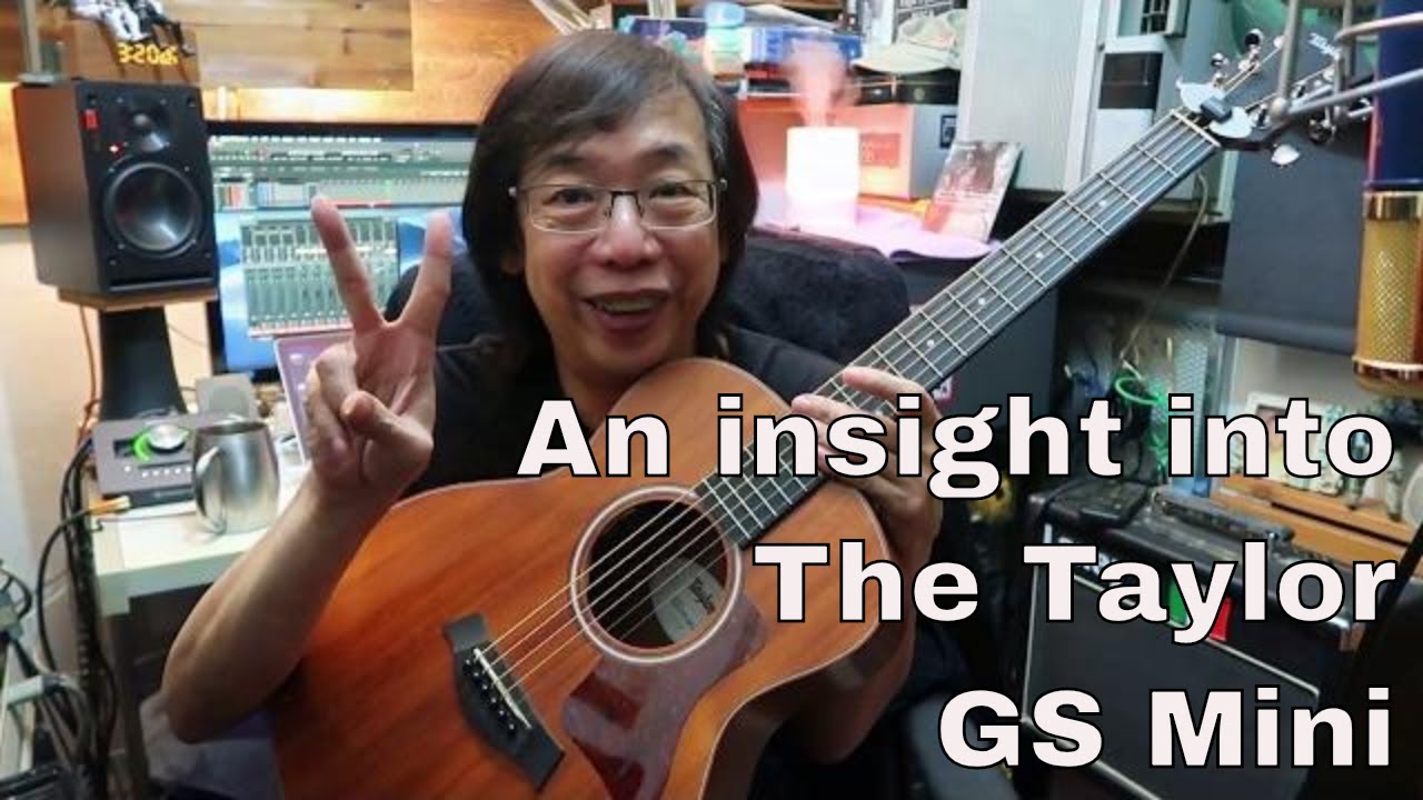 Taylor GS Mini. Взгляд изнутри.