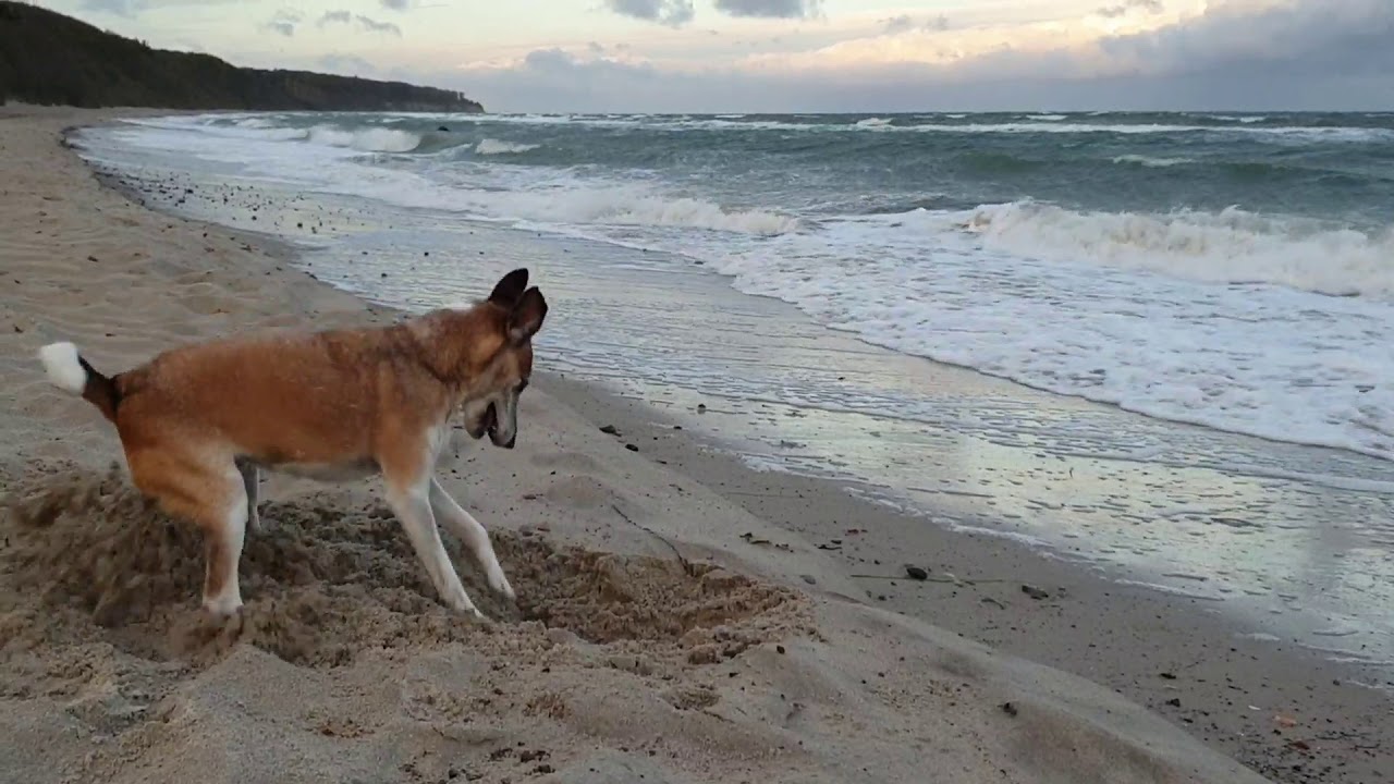 4 Minuten st&uuml;rmische Ostsee bei Warnem&uuml;nde am 27.10.2019