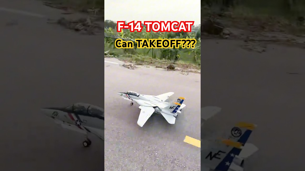 😱 RC F-14 Tomcat &mdash; Smooth Takeoff Like a Real Jet!