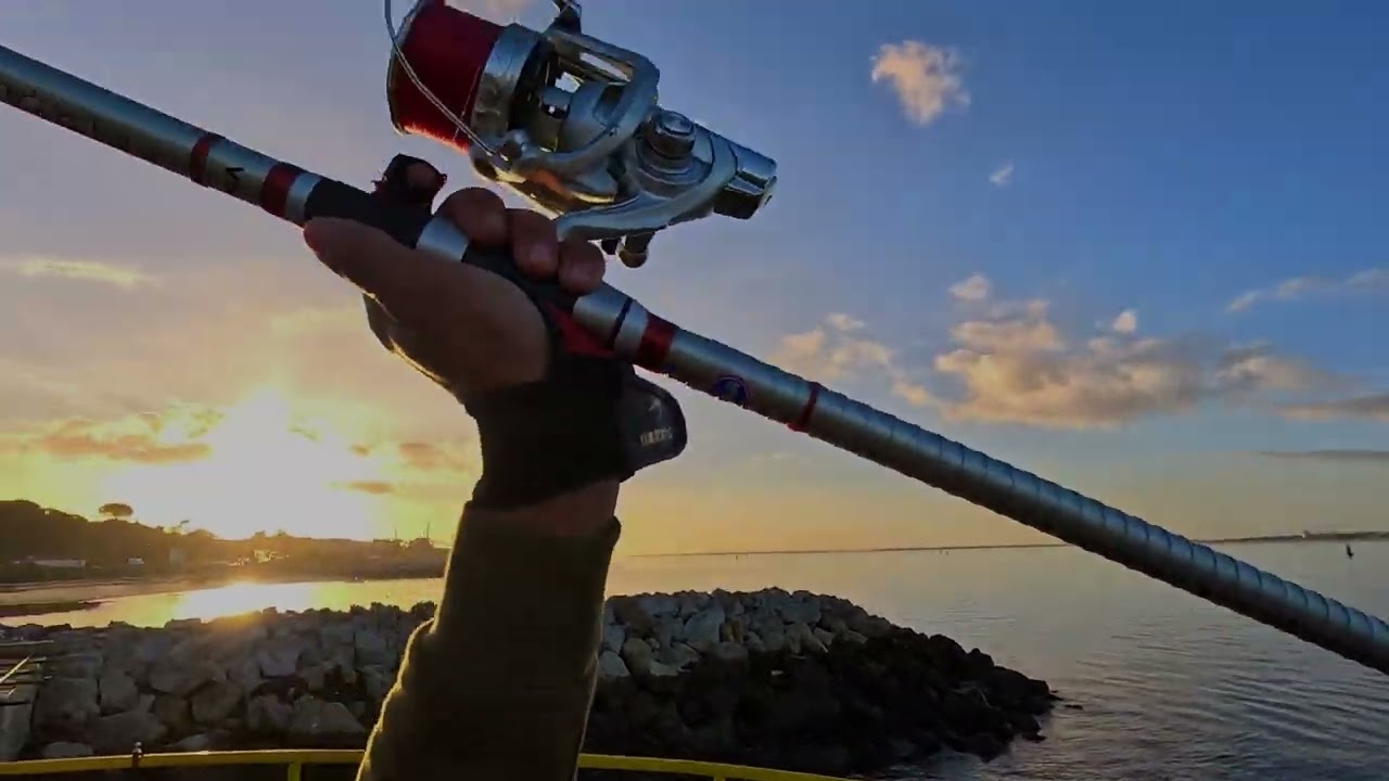 Mais um dia Pesca em Setúbal