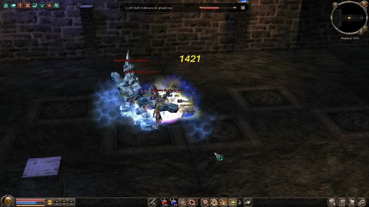 metin2 Pegasus darrky25 lvl up la vrajitoare